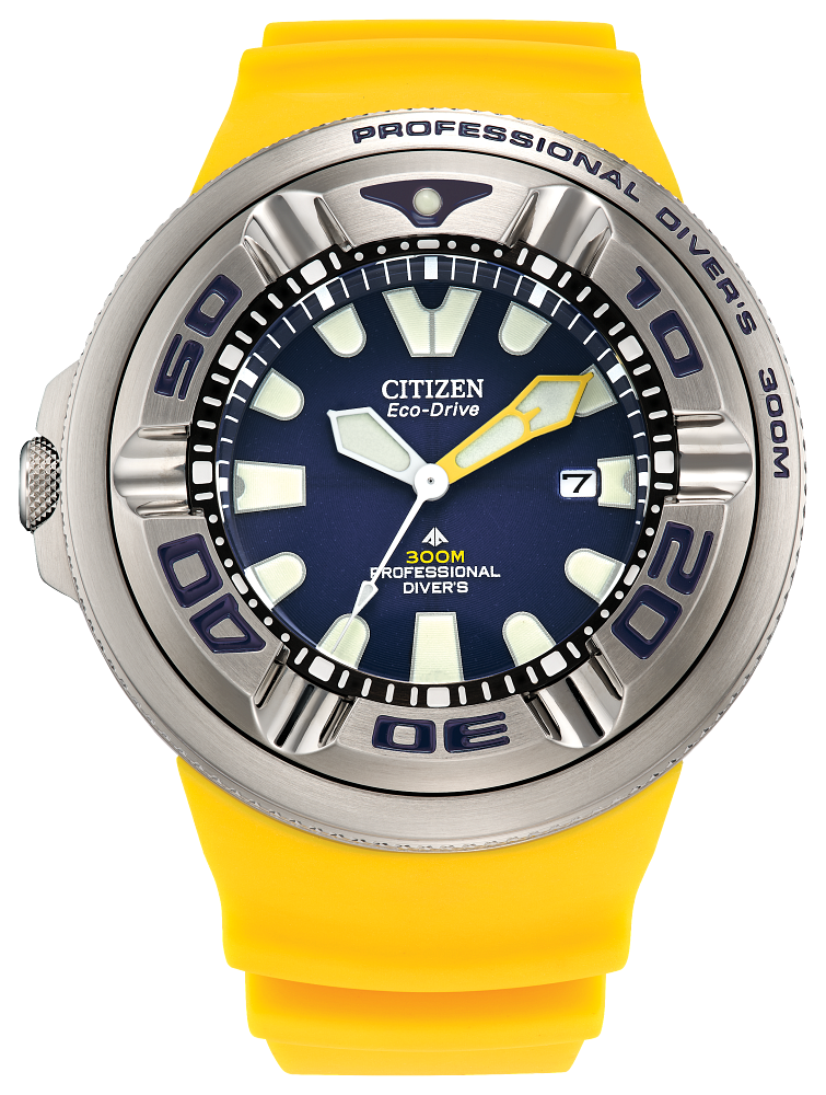 Promaster Dive 